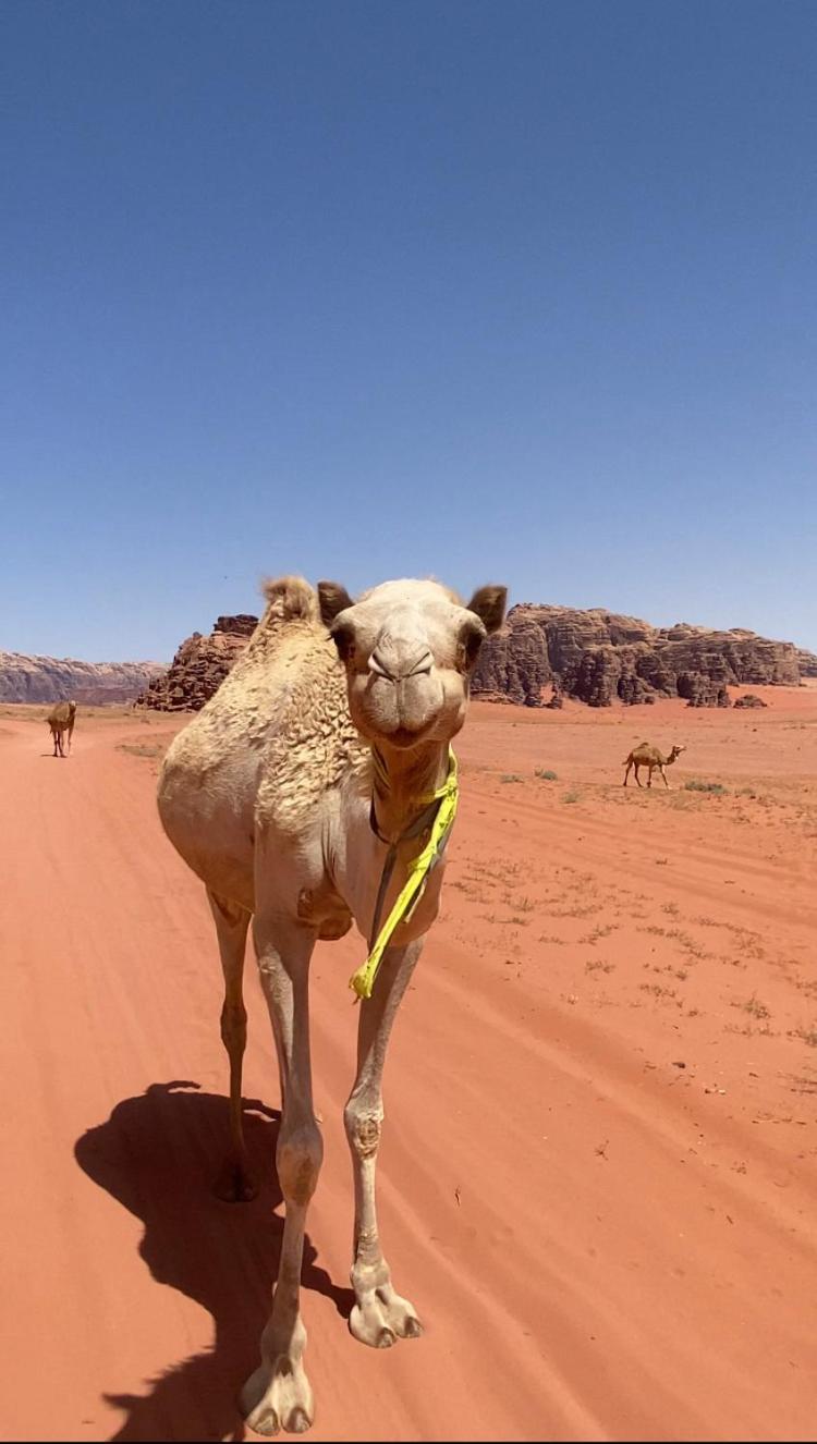 Wadi Rum Bedouin Heart Camp Exterior foto