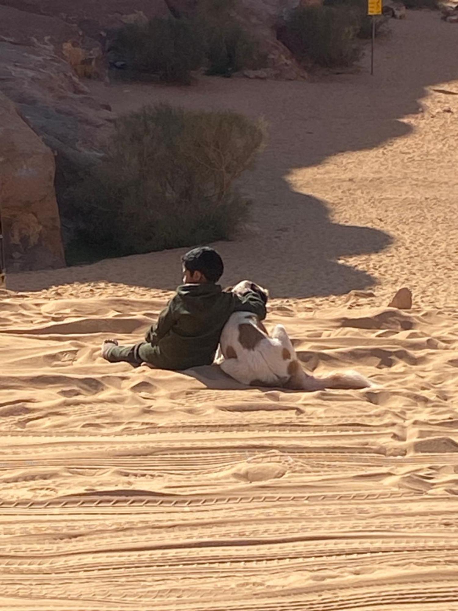 Hotel Wadi Rum Bedouin Heart Camp Exterior foto