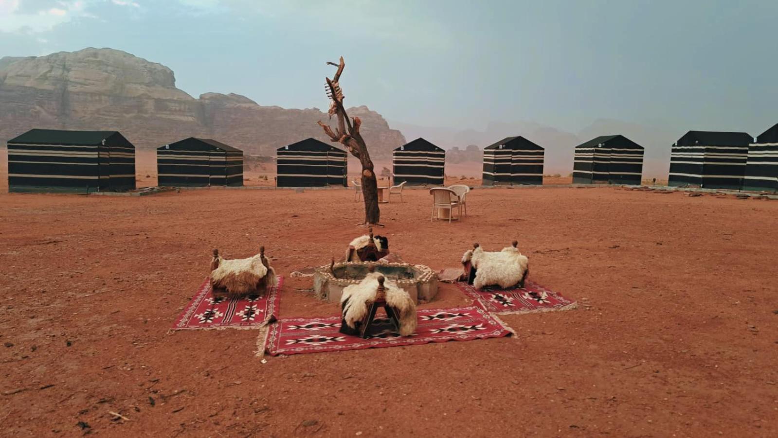 Hotel Wadi Rum Bedouin Heart Camp Exterior foto